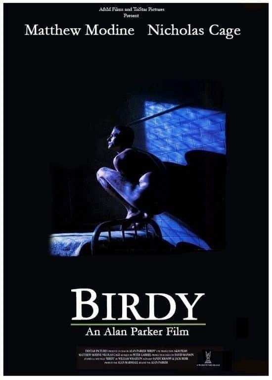 [更 早][欧美][剧情][WEB-1080P][BT下载]鸟人/鸟孩/追鸟 Birdy.1984.1080p.WEBRip.DD2.0.x264-hV 10.45GB