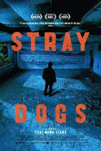 [2013][多国][剧情][BD-1080P][BT下载]郊游/年轻男孩的日记 Stray.Dogs.2013.1080p.BluRay.x264-MELiTE 9.83GB