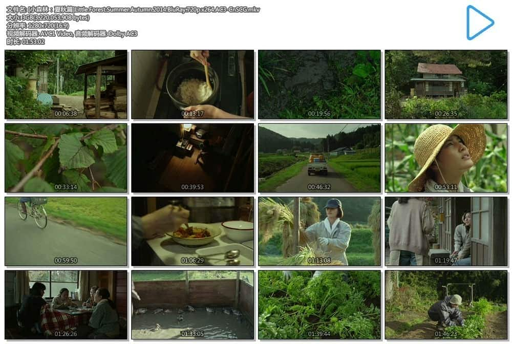 [合 集][日本][剧情][BDRRip-720P][BT下载][小森林]Little.Forest.2014-2015.BluRay.720p.x264.AC3-CnSCG[简繁中字/6.2G]