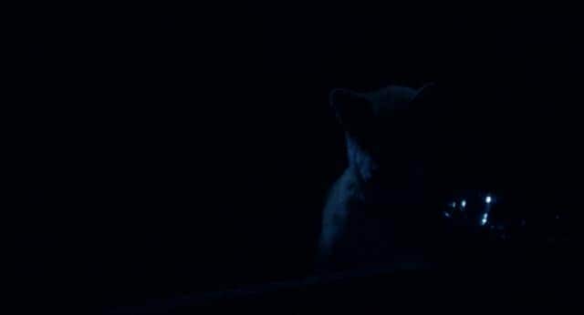 [2009][欧美][剧情][BD-1080P]忠犬八公的故事/忠犬小八 Hachiko.A.Dogs.Story.2009.1080p.BluRay.x264-Japhson 6.56GB
