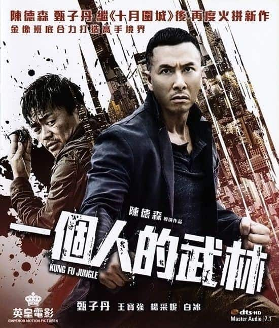 [2014][香港][动作][BD-1080P]一个人的武林 Kung.Fu.Jungle.2014.Bluray.1080p.DTS-HD-7.1.x264-Grym 13.24GB