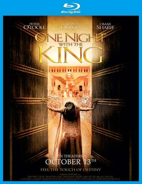 [2006][欧美][剧情][BD-Remux]与王一夜 One Night With The King 2006 BluRay REMUX 1080i AVC DTS-HD MA5.1-CHD 17.6GB