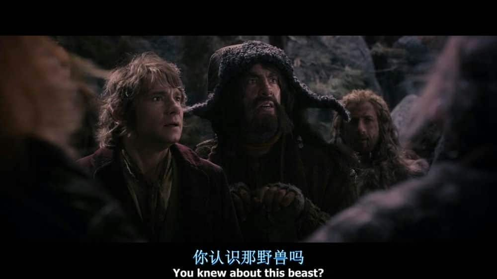 [2013][欧美][剧情][BD-720P]霍比特人2 The.Hobbit.2013.BluRay.720p.x264.AC3-WOFEI 中英字幕  3.42GB