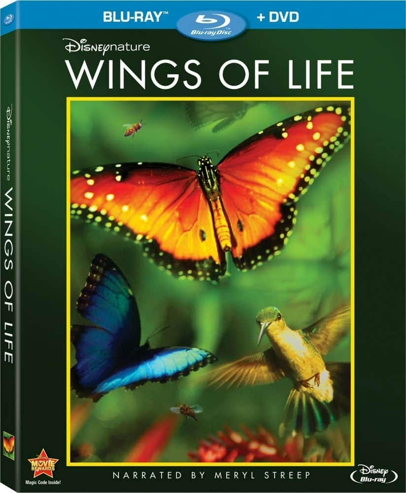 [2011][欧美][剧情][BD-720P]隐蔽之美:孕育地球的爱的故事 DisneyNature.Wings.of.Life.2011.720p.BluRay.x264-HDCLUB 4.49GB