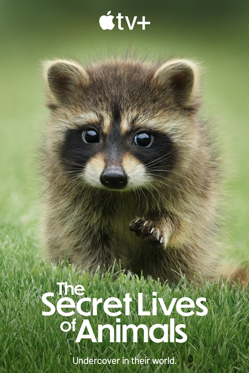 [2024][美国][纪录][整合合集][BT下载][动物的秘密生活 The Secret Lives of Animals 第一季][全10集][英语中字][MKV][720P/1080P][AppleTV+.