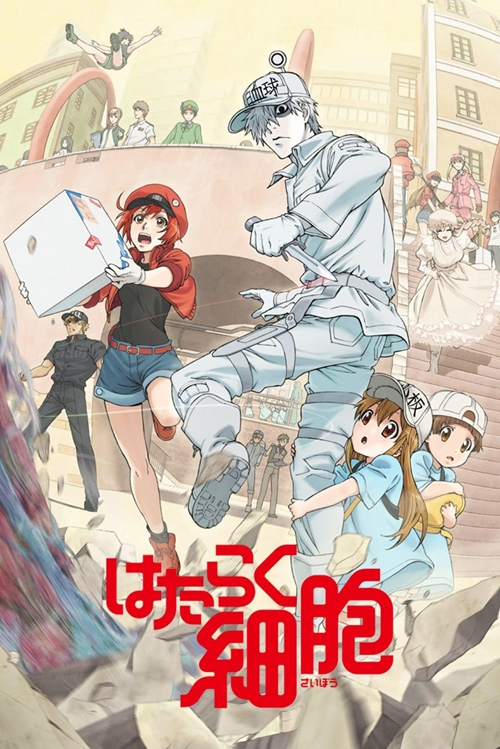 [2018][日本][整合合集][BT下载][工作细胞 Hataraku Saibou 第1季(含SP)][全14集][粤日双语中字][BD-MKV][1080P][BD多版]