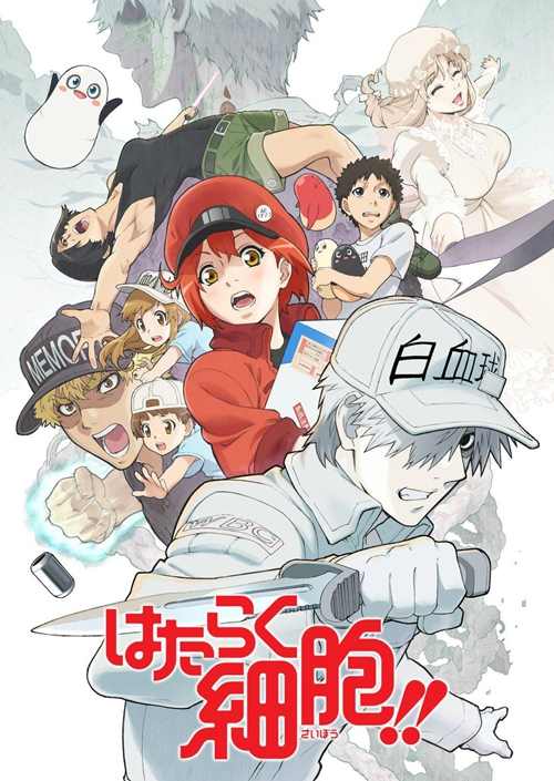 [2021][日本][整合合集][BT下载][工作细胞 Hataraku Saibou 第2季][全08集][日语中字][BD-MKV][1080P][BD多版]