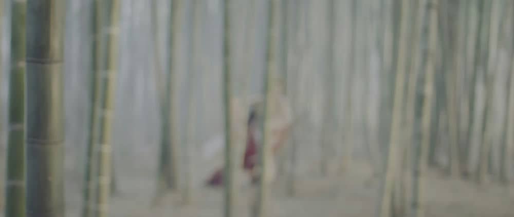 [2023][大陆][剧情][纯净版][BT下载][聊斋画壁][WEB-MP4/4.80GB][国语配音/中文字幕][4K-2160P][60帧率][HDR版本][H265编码][流媒体][Drea