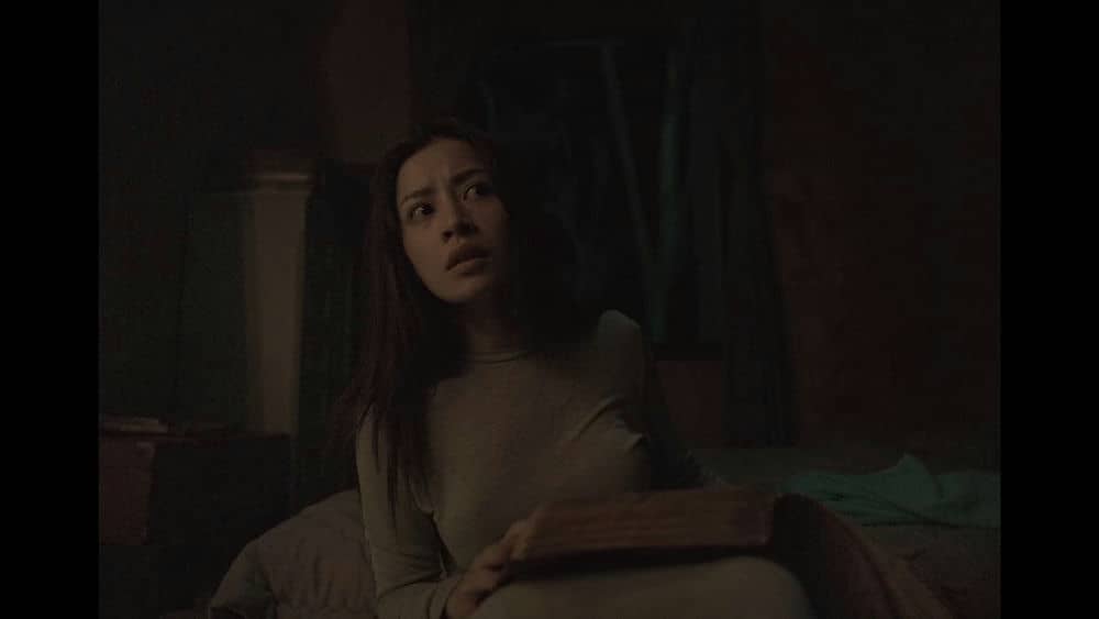 [2022][其它][剧情][纯净版][BT下载][抽象画中的越南少女2][WEB-MKV/5.53GB][简繁英字幕][1080P][流媒体]