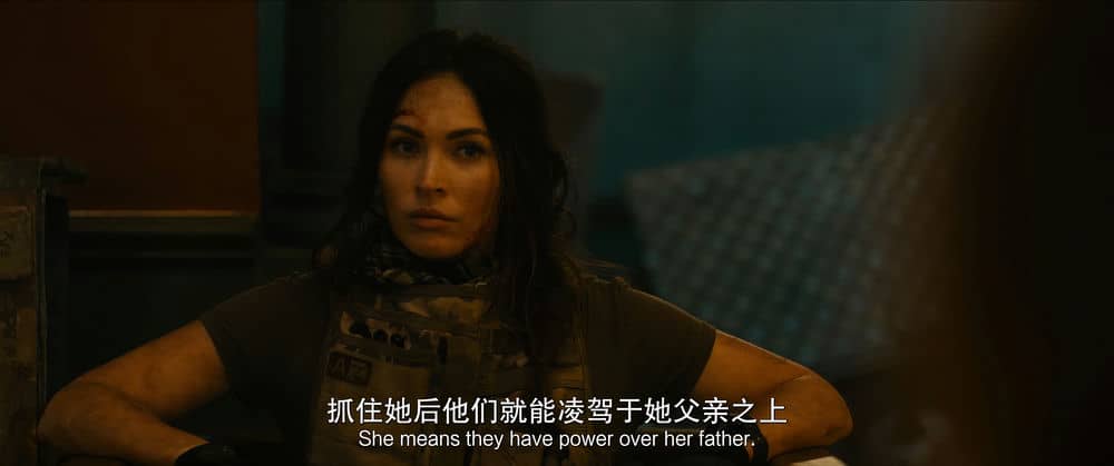 [2020][其它][动作][纯净版][BT下载][侠盗][WEB-MKV/14.18GB][中文字幕][4K-2160P][高码版][H265编码][流媒体]