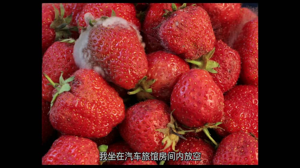 [2021][欧美][其它][纯净版][BT下载][火花兄弟][BD-MP4/4.14GB][中文字幕][1080P][蓝光压制]