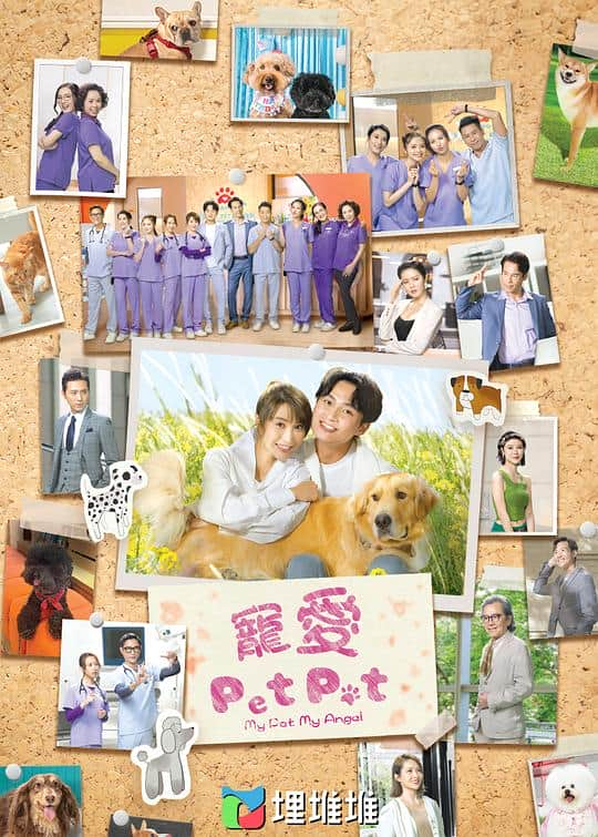 [2023][香港][剧情][连载][BT下载][宠爱Pet Pet][第15集][WEB-MKV/0.99G][中文字幕][1080P][KKTV]