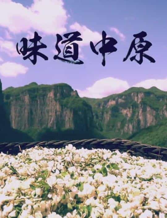 [2017][大陆][剧情][WEB-1080P]味道中原[全40集][国语配音/中文字幕].Wei.Dao.Zhong.Yuan.S01.2017.1080p.WEB-DL.H264.AAC-ZeroTV 14.41GB