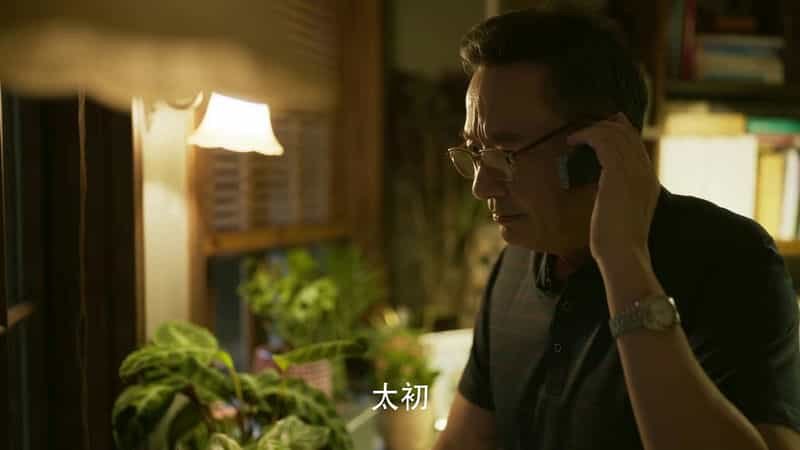 [2024][大陆][剧情][WEB-1080P]玫瑰的故事[第25集][国语配音/中文字幕].Lost.Romance.S01.2024.1080p.WEB-DL.H265.AAC-ZeroTV 0.30GB