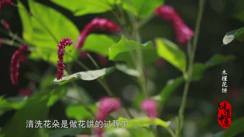 [2017][大陆][剧情][WEB-1080P]味道中原[全40集][国语配音/中文字幕].Wei.Dao.Zhong.Yuan.S01.2017.1080p.WEB-DL.H264.AAC-ZeroTV 14.41GB
