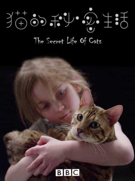 [2019][英国][WEB-1080P]猫的秘密生活[第01集][中文字幕].Secret.Life.of.Cats.2019.S01.Complete.1080p.WEB-DL.AVC.AAC-Xu