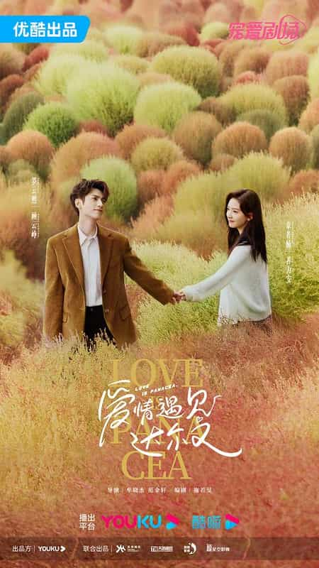 [2023][大陆][剧情][WEB-4K]治愈系恋人[第30-31集][国语配音/中文字幕].Love.is.Panacea.S01.2023.2160p.WEB-DL.H265.AAC-SeeWEB