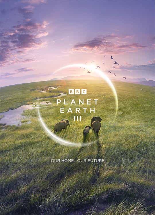[2023][英国][HDTV/HDrip]地球脉动 第三季[第04集][中文字幕].Planet.Earth.S03.2023.1080p.LINETV.WEB-DL.H264.AAC-DDHDTV 3