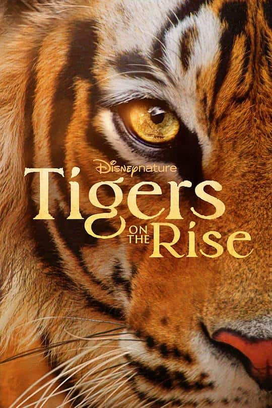 [2024][美国][纪录][WEB-1080P]老虎崛起[简繁英字幕].Tigers.on.the.Rise.2024.1080p.DSNP.WEB-DL.DDP5.1.H264- 3.83GB