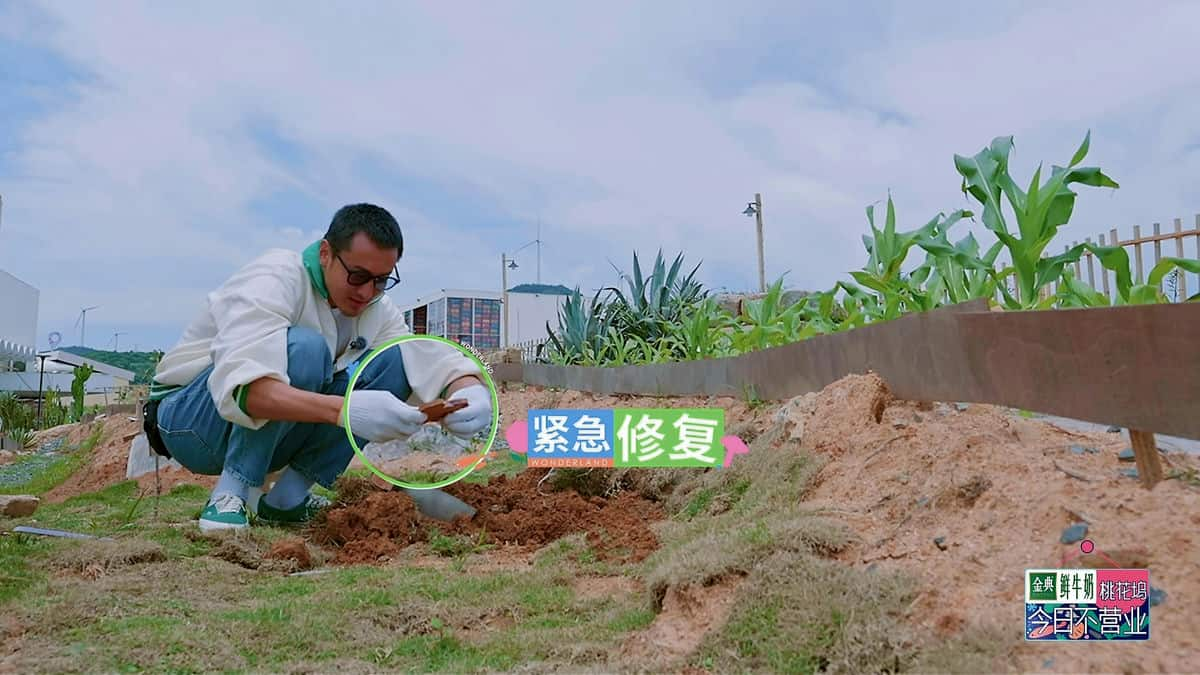 [2024][大陆][剧情][连载][BT下载][五十公里桃花坞4][第14集][WEB-MKV/1.00G][国语配音/中文字幕][4K-2160P][H265][流媒体][ZeroTV]