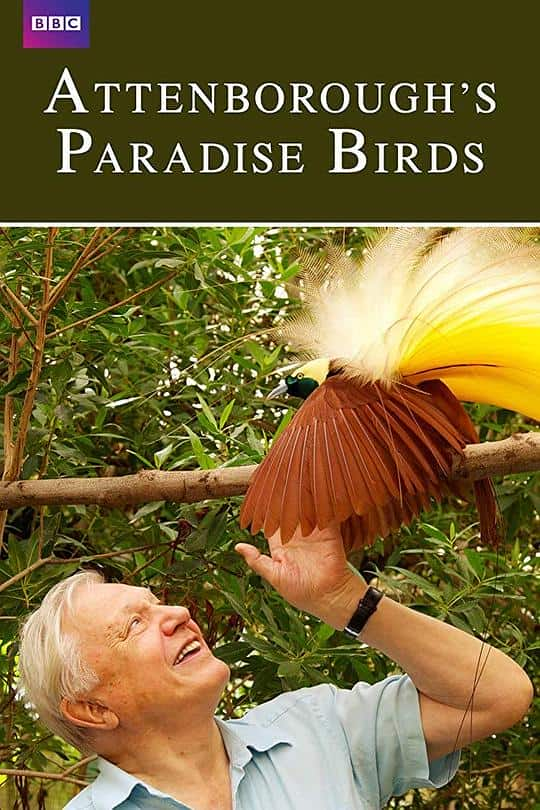 [2015][英国][纪录][WEB-1080P]爱登堡的极乐鸟世界[中文字幕].Attenborough's.Paradise.Birds.2015.1080p.WEB-DL.H264.AAC- 1.34GB