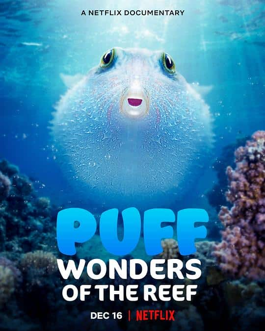 [2021][其他][WEB-1080P]河豚之家：神奇的珊瑚礁[简繁英字幕].Puff.Wonders.of.the.Reef.2021.1080p.NF.WEB-DL.DDP.5.1.H.264-D