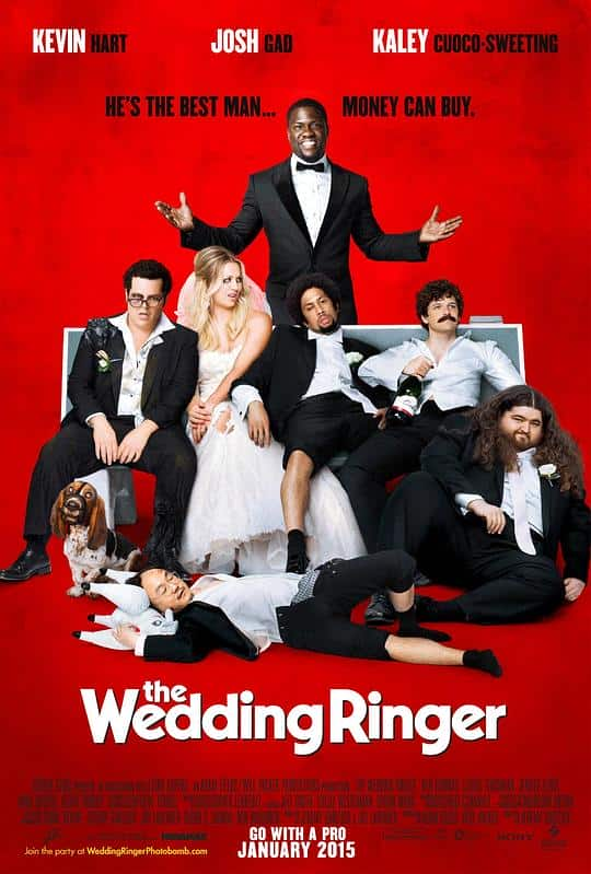 [2015][欧美][喜剧][BD-1080P]定制伴郎[简繁英字幕].The.Wedding.Ringer.2015.1080p.BluRay.x264.DTS- 10.33GB