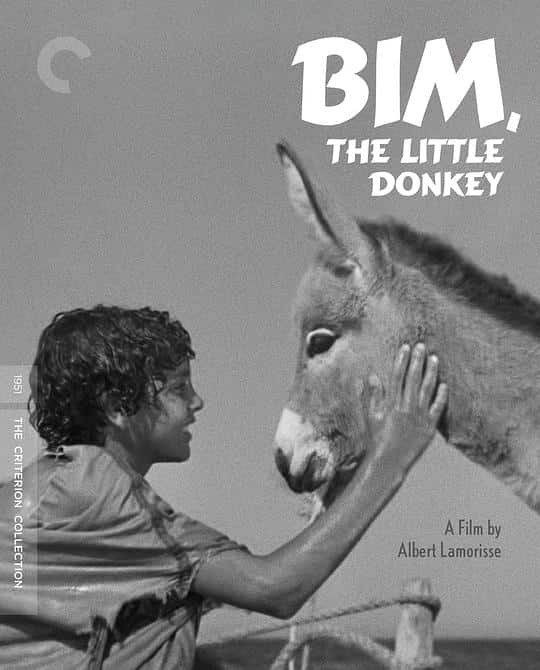 [更 早][剧情][其他][BD-1080P]小驴比姆[简繁英字幕].Bim.the.Little.Donkey.1951.CC.1080p.BluRay.x265.10bit.FLAC.1.0-SONYH