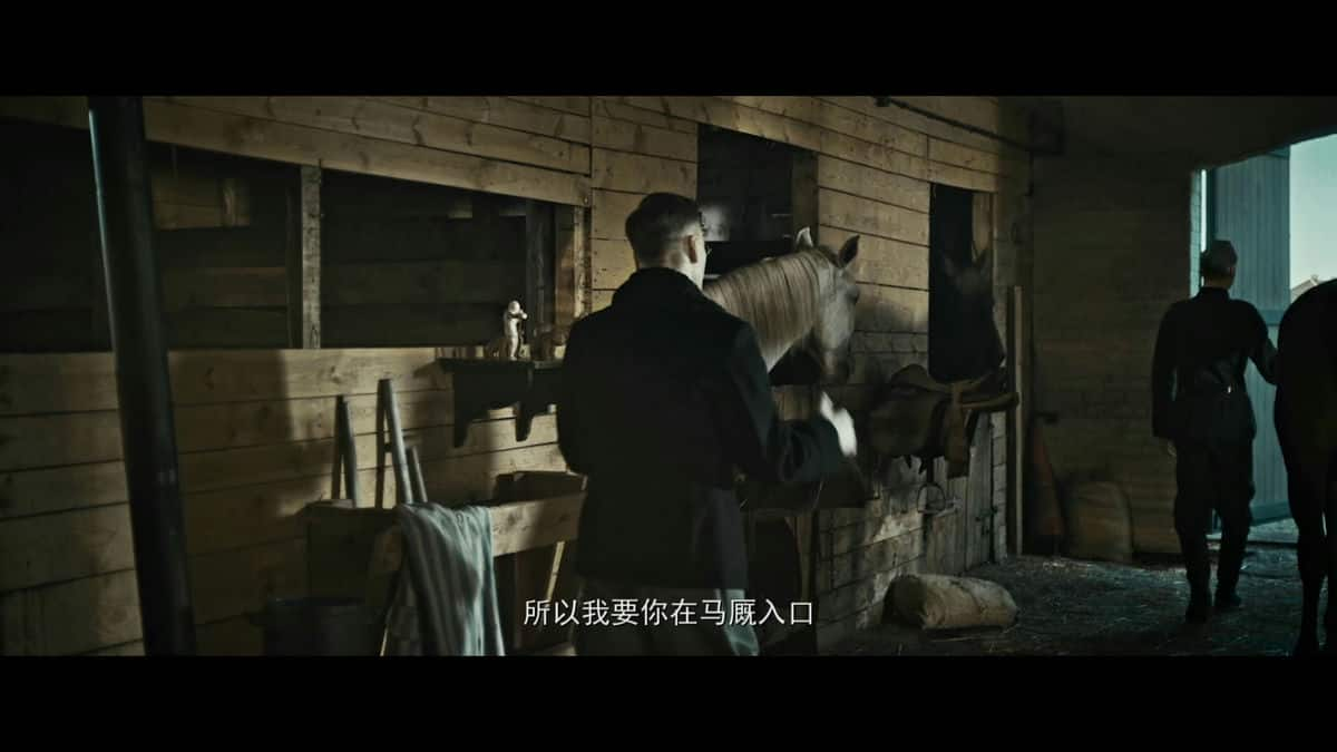 [2021][剧情][其他][WEB-1080P]战俘拳王[国语音轨/中文字幕].Mistrz.2021.1080p.WEB-DL.H264.AAC.2Audio- 4.62GB