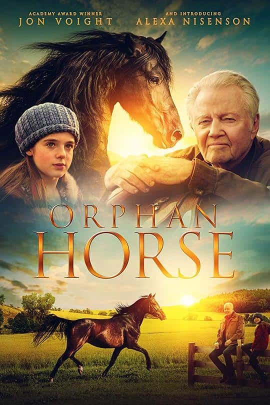 [2018][欧美][剧情][BD-1080P]孤马[简繁英字幕].Orphan.Horse.2018.BluRay.1080p.DTS-HD.MA5.1.x265.10bit- 6.44GB