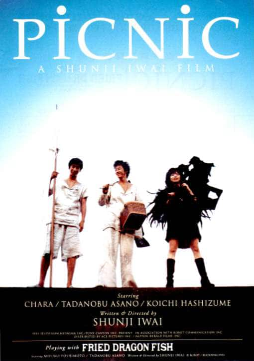 [更 早][日本][剧情][BD-1080P]梦旅人[中文字幕].PicNic.1996.BluRay.1080p.DTS-HD.MA.2.0.x265.10bit- 3.85GB