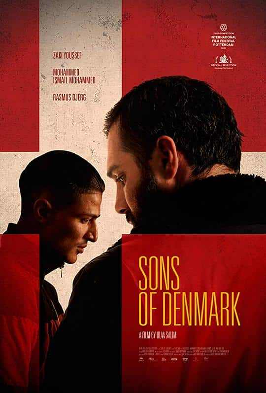 [2019][剧情][其他][BD-1080P]丹麦之子[简繁英字幕].Sons.of.Denmark.2019.BluRay.1080p.DTS-HD.MA.5.1.x265.10bit- 6