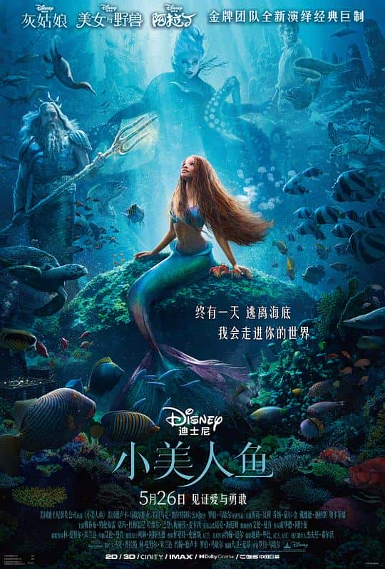 [2023][欧美][爱情][BD-1080P]小美人鱼[简繁英字幕].The.Little.Mermaid.2023.1080p.BluRay.x264.DTS- 14.69GB