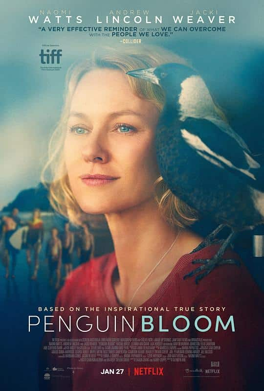 [2020][剧情][其他][BD-1080P]企鹅布鲁姆[中文字幕].Penguin.Bloom.2020.BluRay.1080p.DTS-HDMA.5.1.x265.10bit- 6.15