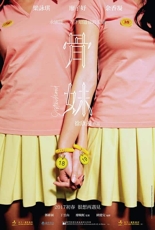 [2016][香港][剧情][WEB-4K]骨妹[国语配音/中文字幕].Sisterhood.2016.2160p.WEB-DL.H265.AAC- 10.74GB