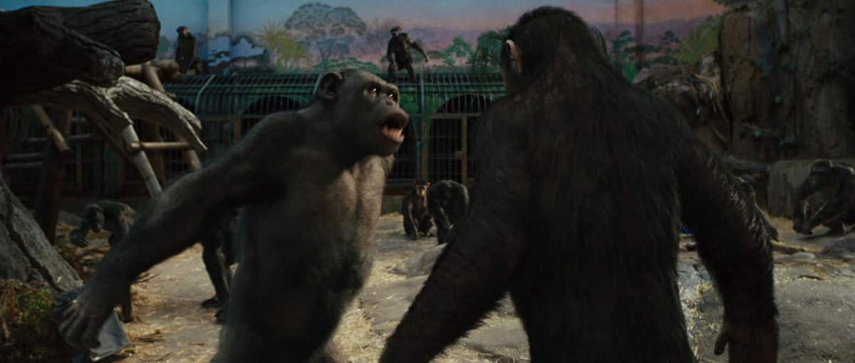 [2011][欧美][剧情][BD-1080P]猩球崛起[国英多音轨].Rise.of.the.Planet.of.the.Apes.2011.1080p.BluRay.x264.DTS- 11.