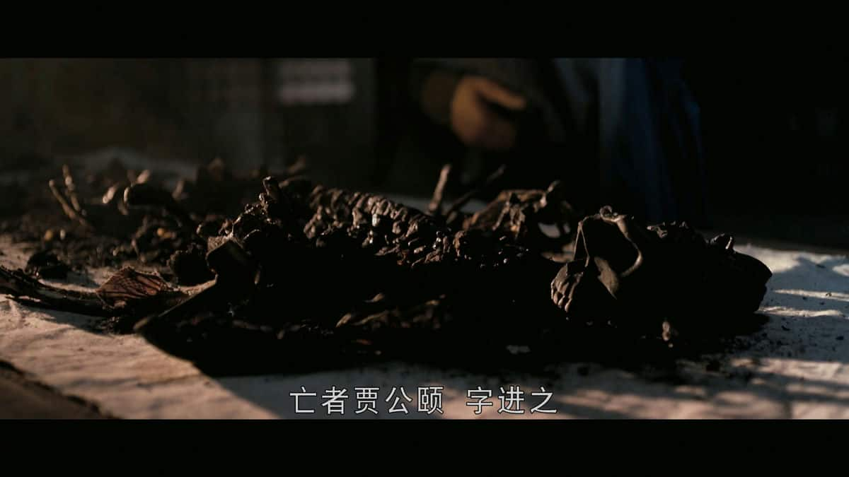 [2010][大陆][动作][BD-1080P]狄仁杰之通天帝国[中文字幕].Detective.Dee.and.the.Mystery.of.the.Phantom.Flame.2010.Bluray.10