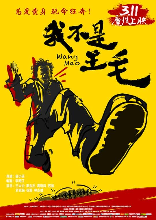 [2014][大陆][喜剧][WEB-1080P]我不是王毛[国语配音/中文字幕].Wang.Mao.2016.1080p.Bilibili.WEB-DL.H264.AAC- 2.55GB