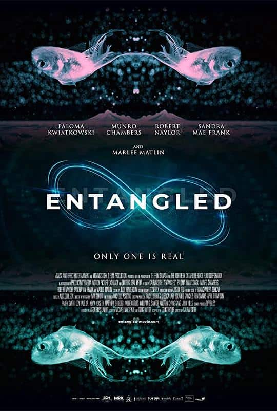 [2019][欧美][剧情][BD-1080P]Entangled[中文字幕].Multiverse.2019.BluRay.1080p.DTS-HDMA5.1.x265.10bit- 4.52