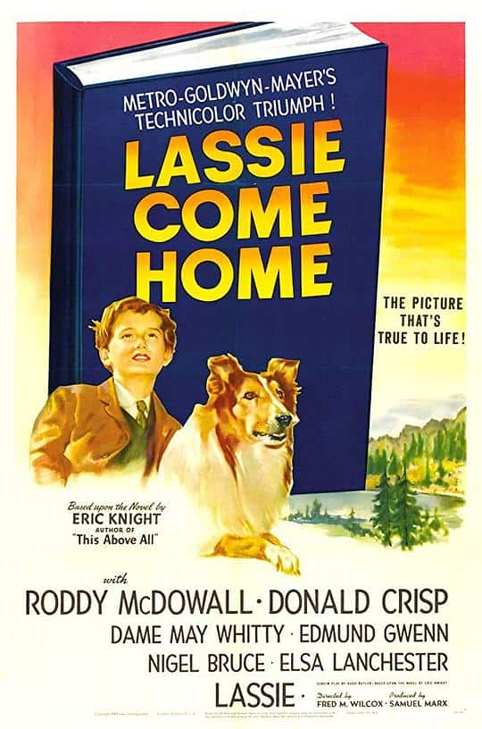 [更 早][欧美][剧情][WEB-4K]灵犬莱西[中文字幕].Lassie.Come.Home.1943.2160p.WEB-DL.H265.AAC- 2.67GB