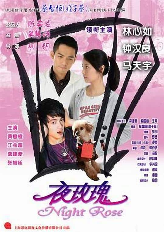 [2009][大陆][剧情][WEB-1080P]夜玫瑰[国语配音/中文字幕].Night.Rose.2009.1080p.WEB-DL.H264.AAC- 2.08GB