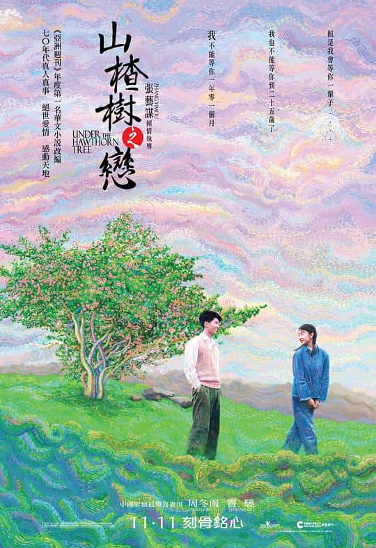 [2010][大陆][剧情][WEB-4K]山楂树之恋[国语配音/中文字幕].Under.the.Hawthorn.Tree.2010.2160p.WEB-DL.H265.AAC- 1.98