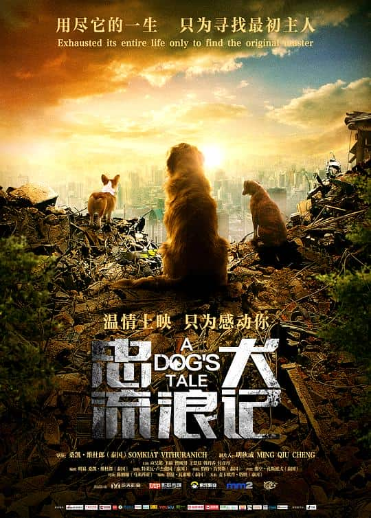 [2021][大陆][剧情][WEB-4K]忠犬流浪记[高码版][国语配音/中文字幕].A.Dog's.Tale.2021.2160p.HQ.WEB-DL.H265.DDP5.1- 13.5