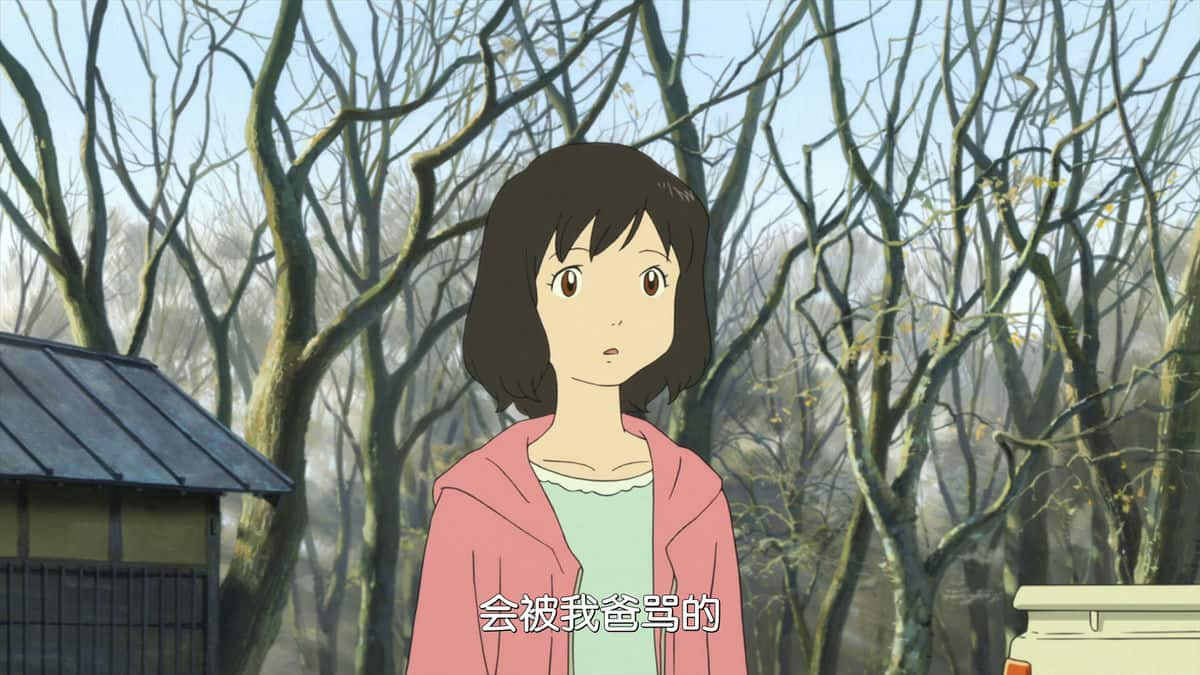 [2012][日本][剧情][BD-1080P]狼的孩子雨和雪[国日多音轨/中文字幕].The.Wolf.Children.Ame.and.Yuki.2012.BluRay.1080p.AAC2.0.x264