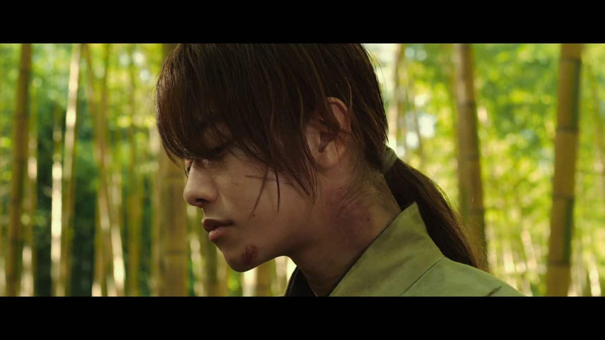 [2014][日本][剧情][WEB-1080P]浪客剑心：传说的完结篇[简繁英字幕].Rurouni.Kenshin.The.Legend.Ends.2014.1080p.WEB-DL.x264.AAC-MO