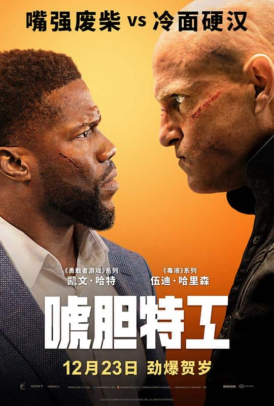 [2022][欧美][喜剧][BD-1080P]唬胆特工[中文字幕].The.Man.from.Toronto.2022.BluRay.1080p.DTS-HDMA5.1.x264- 10.23