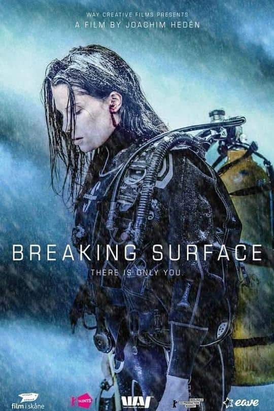 [2020][剧情][其他][BD-1080P]破浪而出[中文字幕].Breaking.Surface.2020.1080p.GER.BluRay.DTS-HD.MA5.1.x265.10bit-DreamH