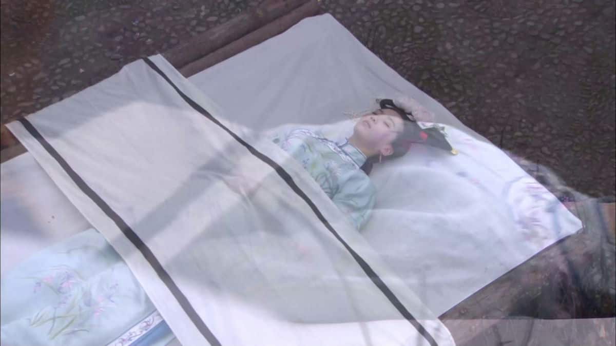 [2011][大陆][剧情][打包][BT下载][步步惊心][全35集][WEB-MKV/50.29G][国语配音/中文字幕][1080P][流媒体][LelveTV]
