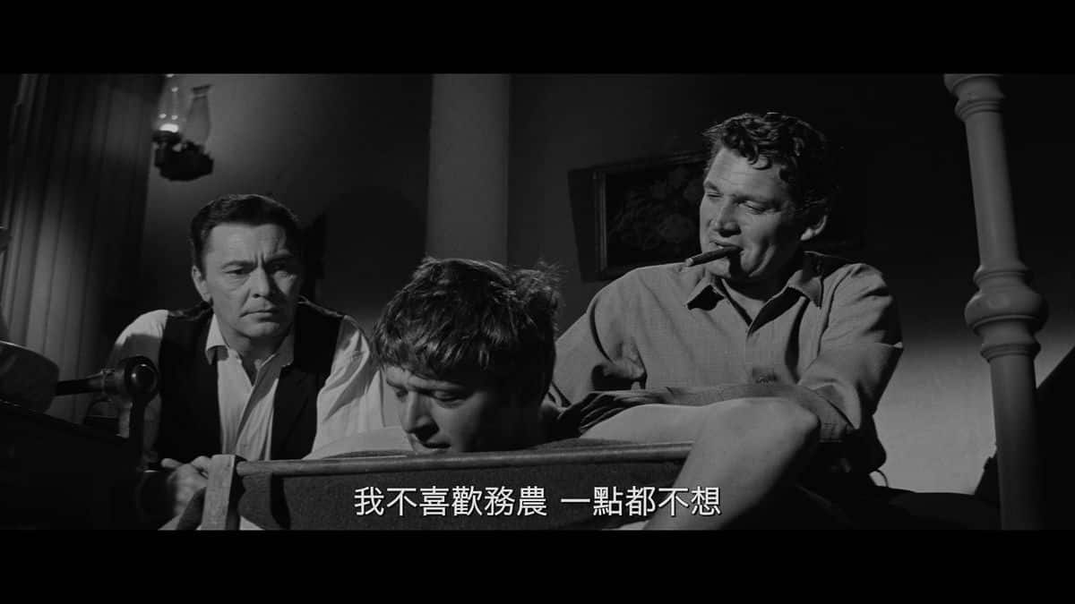 [更 早][欧美][剧情][BD-1080P]四十支枪[中文字幕].Forty.Guns.1957.BluRay.1080p.AAC.x264- 2.35GB