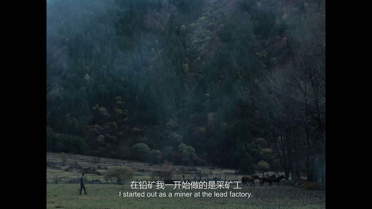 [2021][大陆][剧情][WEB-1080P]鲛在水中央[国语配音/中文字幕].Atonement.2021.1080p.WEB-DL.H264.AAC- 4.60GB